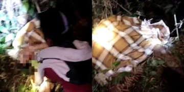 Diduga Diserang Harimau, Petani Ditemukan Tewas Mengenaskan di Lampung Barat